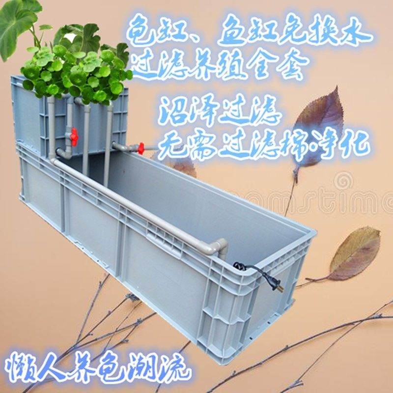 乌龟沼泽过滤龟苗养殖箱周转箱生态过滤鱼缸水培过滤龟缸鱼缸一体