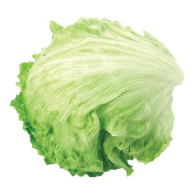 新鲜沁蕊1斤多省包邮500g圆生菜