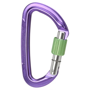 WILDCOUNTRY SESSION SCREW GATE攀岩登山丝扣锁D型锁丝扣主锁