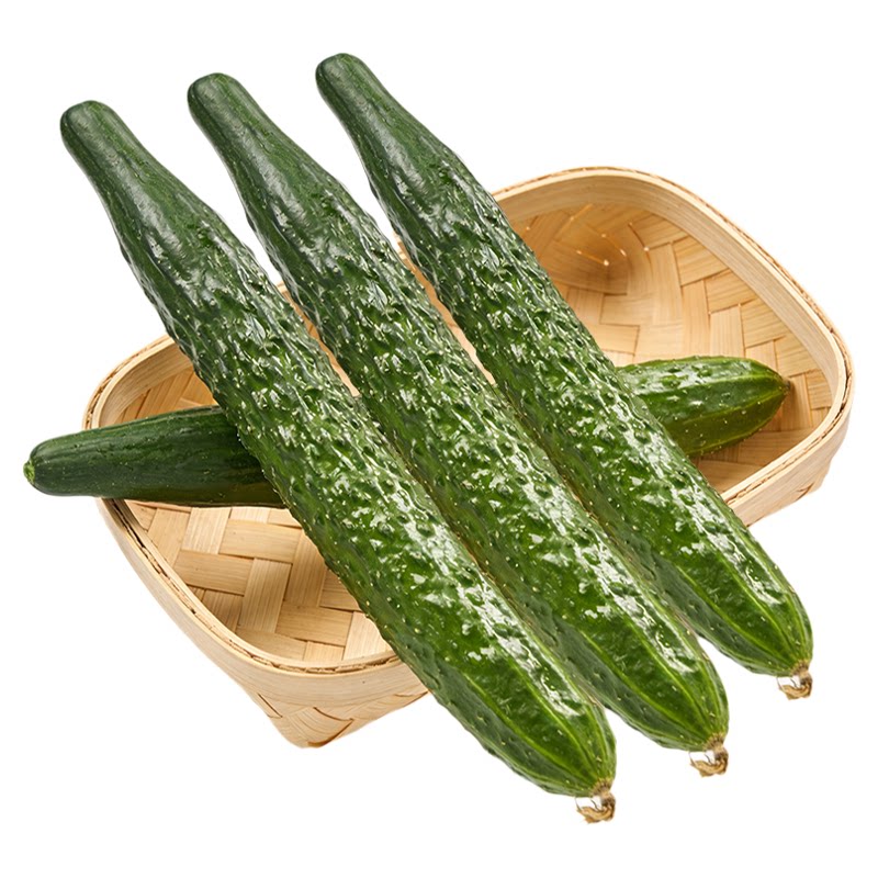 燎原山东绿色长黄瓜新鲜孕妇生吃宝宝辅食绿色现摘蔬菜基地自种嫩