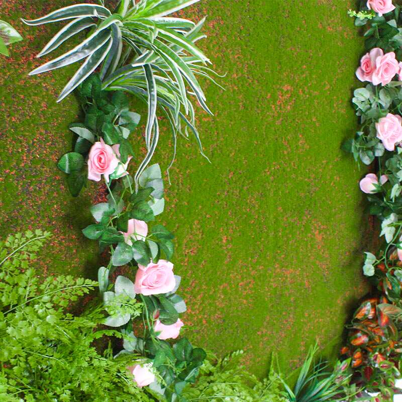 青苔 苔藓假植物墙底料仿真苔藓墙绿化装饰墙体艺术青苔仿真草坪