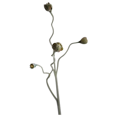 禅意绿色花苞枝仿真花