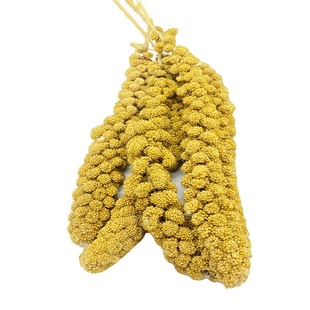 小型鹦鹉鸟类零食黄色小米穗天然谷穗鸟食鸟饲料麦穗鹦鹉断奶谷子