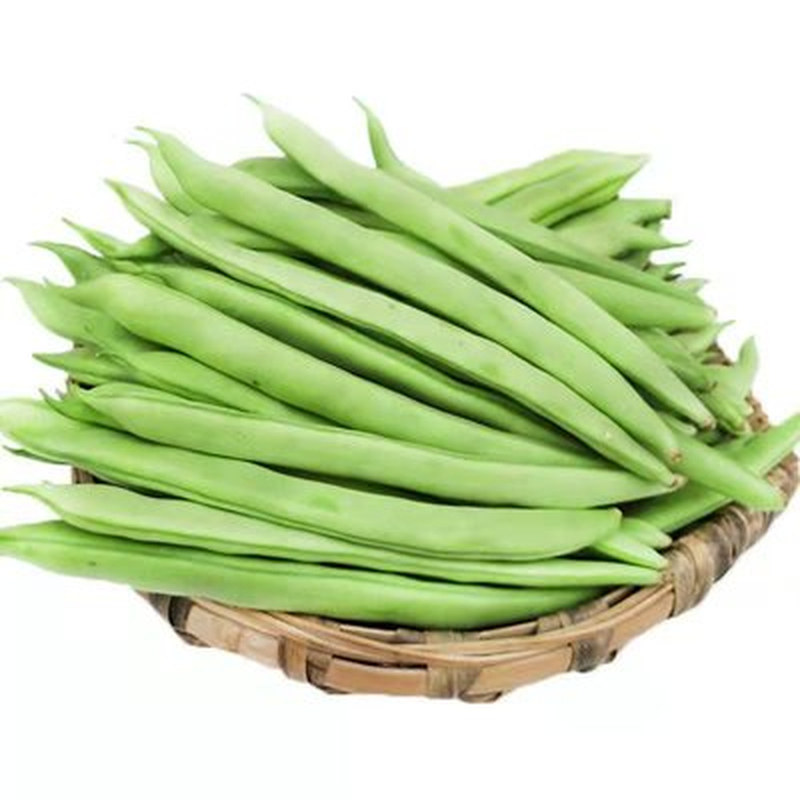 农家菜园四季豆时令新鲜健康蔬菜