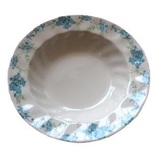 中古风出口英国老货复古神秘鸟笼西餐盘淡雅绿花牛排意面盘冷食盘