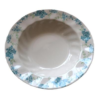 中古风出口英国老货复古神秘鸟笼西餐盘淡雅绿花牛排意面盘冷食盘