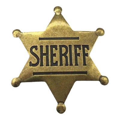 美国州长荣誉帽徽周年纪念胸针