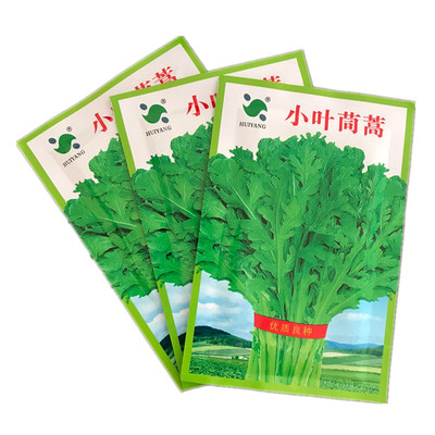 蔬菜小叶春秋光杆高产包邮茼蒿