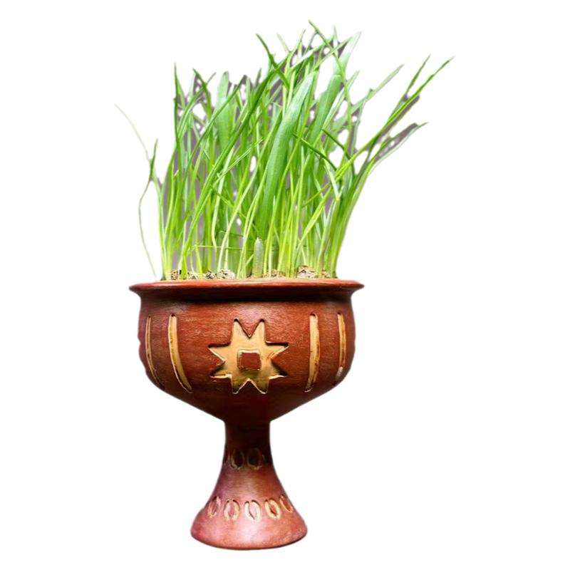 山东博物馆 八角星纹彩陶豆文创盆栽冰箱贴种草含草种立体磁吸贴