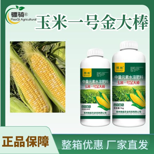 骠骑玉米一号金大棒玉米种植玉米增产增收籽粒饱满抗倒伏叶面肥