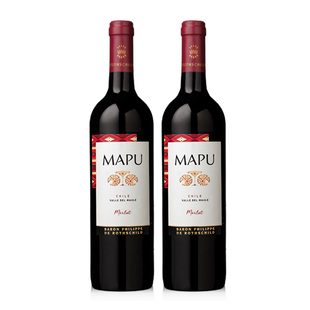大地MAPU梅洛干红葡萄酒750ml双支智利进口红酒