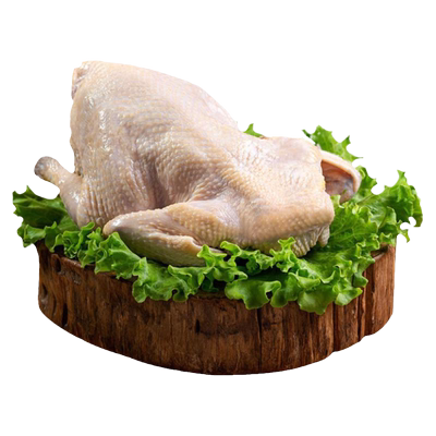 老乡鸡肥西老母鸡五谷喂养