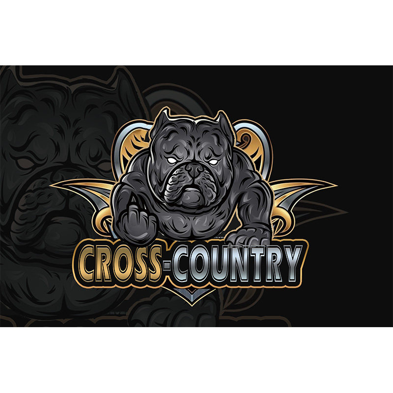 300PCTPVC单透遮阳隐私车窗贴纸