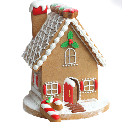 圣诞节立体不锈钢糖霜饼干送教学