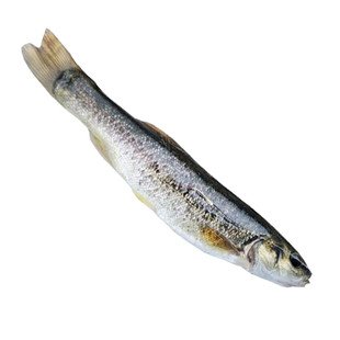 东北柳根鱼新鲜冷冻现捞长白山江河鱼冷水鱼净重1斤满2份限区包邮