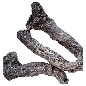 甘肃岷县野外老党参特级天然无硫中药材250g土纹潞党上党参段条