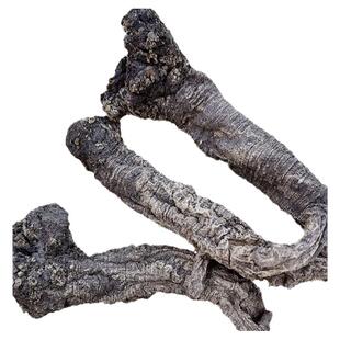 甘肃岷县野外老党参特级天然无硫中药材250g土纹潞党上党参段条