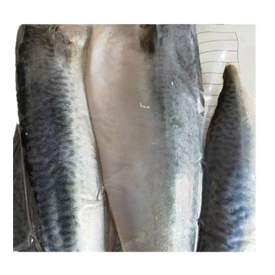 包邮丹东肉速冻台鲅鱼新鲜