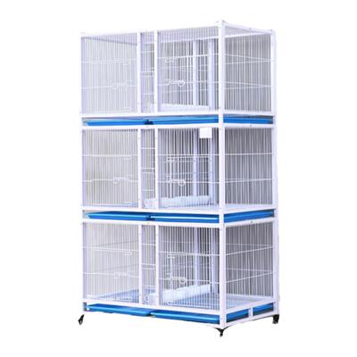 鸽笼加粗加密防黄鼠狼配对信鸽