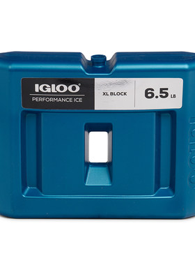 igloo进口蓝冰持久冷藏锁住新鲜