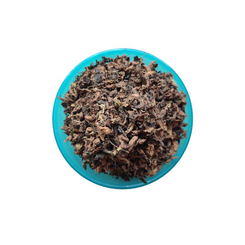 凉粉草福建黑凉粉高胶质草粿新鲜