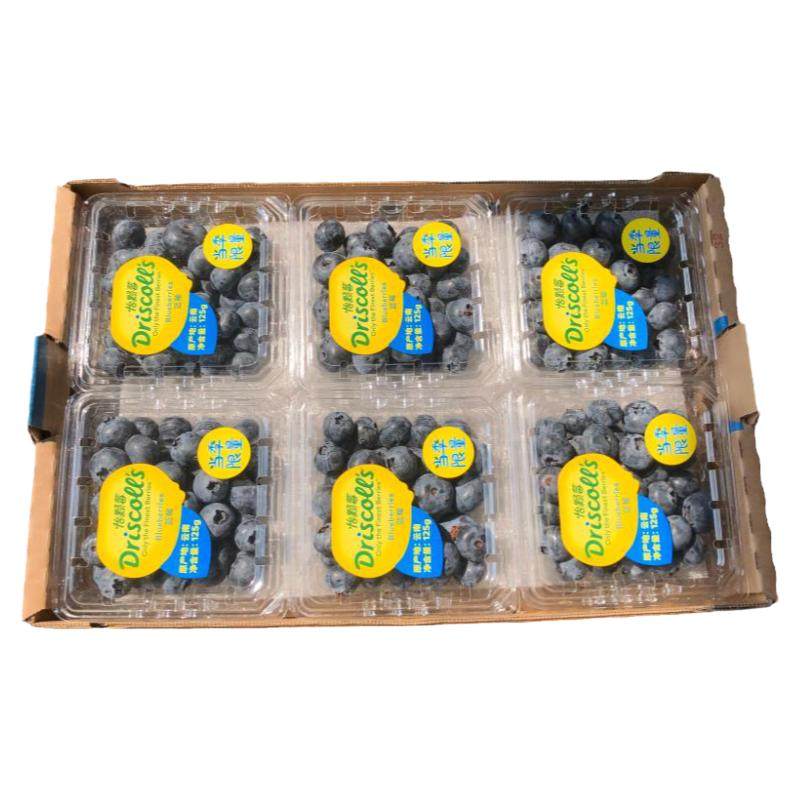 云南当季限量版怡颗莓蓝莓王12盒兰莓超大蓝梅鲜果1箱顺丰2