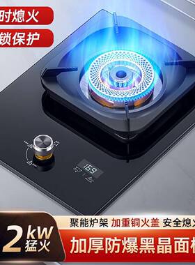 燃气灶厨房家用单灶2026新款煤气灶液化气天然气台嵌两用炉灶节能
