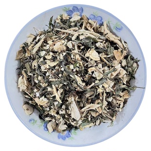 翅果菊山莴苣苦莴苣金钗翅紫翅菊阳台庭院窗台民间习用中草药盆栽