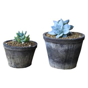 迷你小花盆多肉粗陶花园复古透气陶土育苗瓦盆仙人球专用陶盆矮红