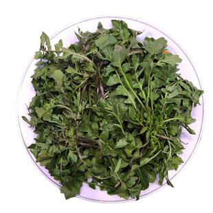 秦岭野生荠菜露天荠菜新鲜荠荠菜地丁菜北方当季野菜现挖4斤包邮