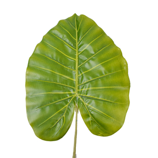 仿真芭蕉叶植物绿叶大装饰品摆设叶滴水观音叶演出用绿叶香蕉叶