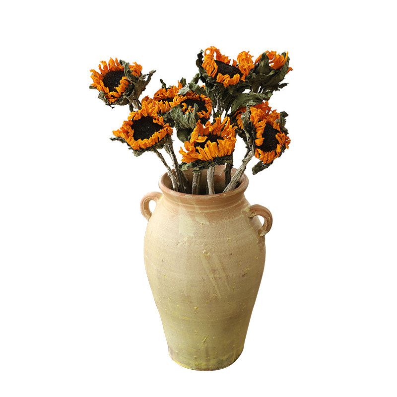 泰迪向日葵干花花束客厅摆设插花干枝天然风干花永生花装饰摆件