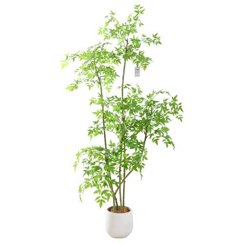 仿真植物盆景