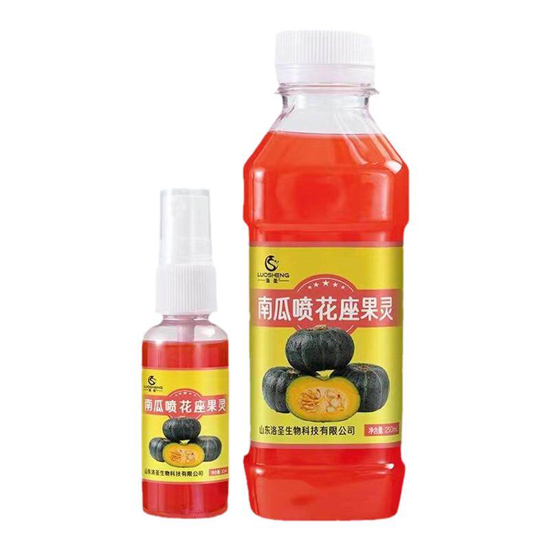 南瓜喷花座果灵提高坐果率免人工
