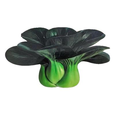 太湖青菜种子苏州青种籽四季阳台盆栽矮箕青叶太湖青菜种籽