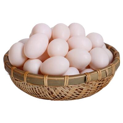 新鲜鸽子蛋现捡农家散养顺丰速发