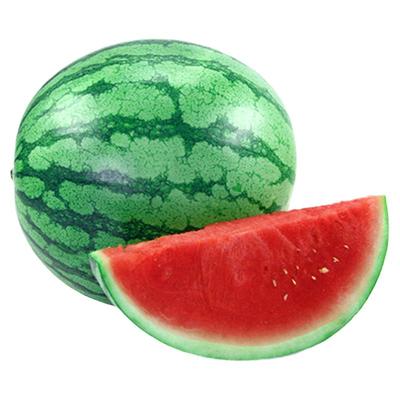 冰糖京欣特大西瓜种子