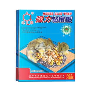 双引诱达豪糖炒板栗味老鼠粘强力粘鼠板胶粘大老鼠贴家用坚果图案