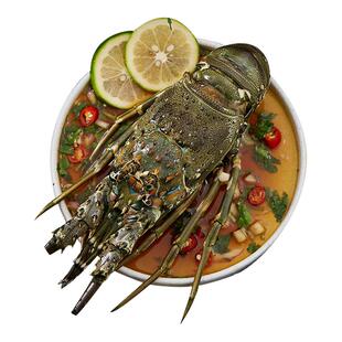 小青龙虾鲜活急冻青龙仔超大肉多冷冻新鲜青龙虾活冻澳洲大龙虾