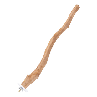 鹦鹉杜鹃木站杆树杈站架牡丹和尚虎皮鸟装饰磨爪玩具用品