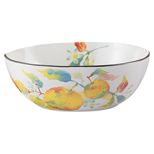 红颜花语高级感餐具手绘陶瓷沙拉碗日本进口高颜值网红面碗礼盒