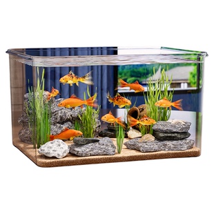 鱼缸客厅2026新款小金鱼乌龟饲养家用仿玻璃亚克力小型桌面生态缸