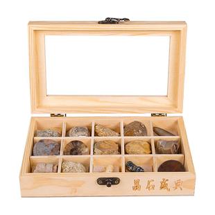 15种天然化石标本矿物礼盒玉化螺菊石三叶虫石头宝石科普玩具礼物