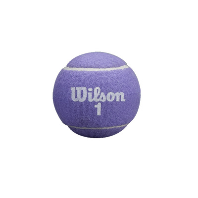 Wilson网球彩色趣味比赛训练球25新款有压网球2颗装网球礼物