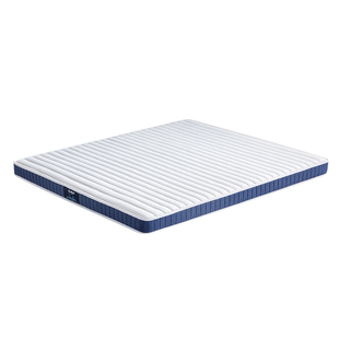 政府补贴 爱舒独立弹簧棕榈硬垫护脊椰棕加硬床垫榻榻米薄垫 源梦