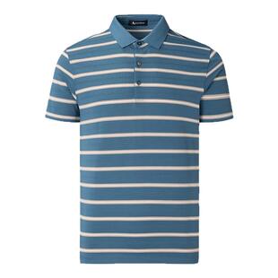 Aquascutum/雅格狮丹春夏新品男商务休闲翻领短袖条纹POLO衫通勤