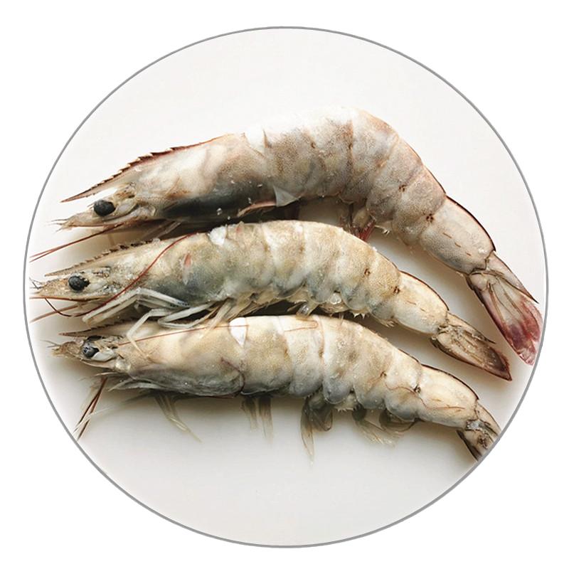 南美厄瓜多尔白虾大虾海虾