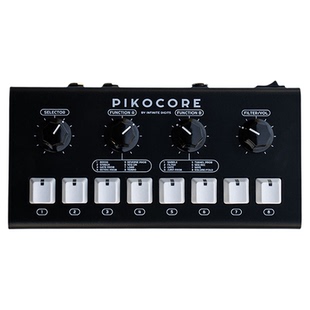 Erica Synths Pikocore XL nyblcore 采样回放 noisetone DIY