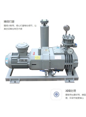 贝乐RLP干式螺杆真空泵低噪音气体传输泵工业高转速电动抽气泵