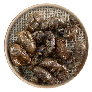 精选 中药材 蝉蜕 虫退 知了皮 蝉衣 50g 可打粉 满包邮